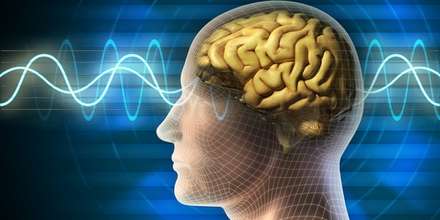 sports study transcendental meditation athletes australian cricket