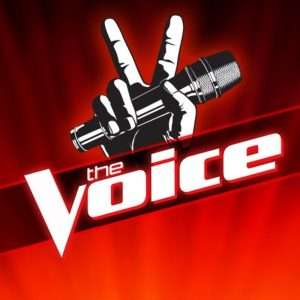 lee chesnut interview the voice republic records