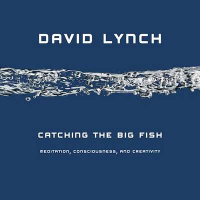 meditation books spirituality catching-the-big-fish- david lync - review