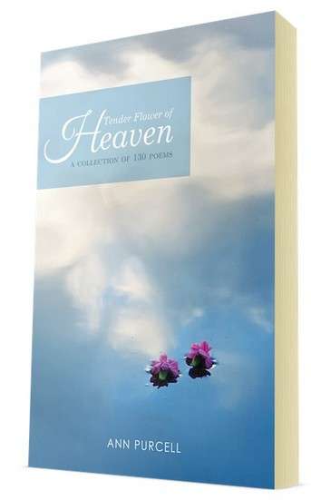 tender flower heaven ann purcell book review
