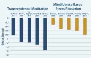 Transcendental meditation and mindfulness. Types of meditation