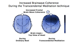 brain transcendental meditation